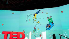 TED 2019