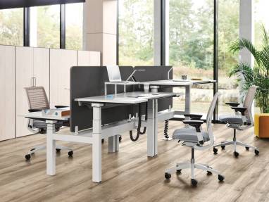 Ology Bench