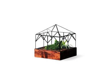 Glass Cottage Terrarium