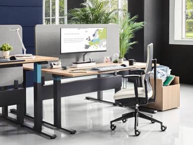Migration SE, Please Anniversary, Implicit Lease, FSMA Intro Monitor Arm, Workstation