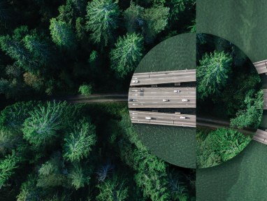 Carbon Neutral Now. Carbon Negative Next.