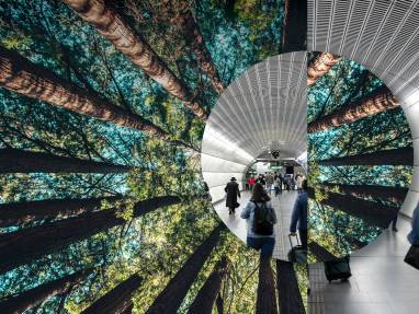 Building a Healthy Planet through Decarbonization