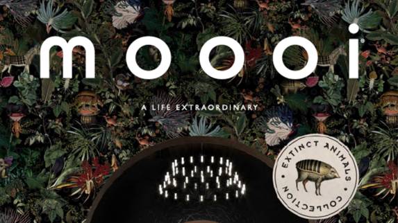 moooibook cropped