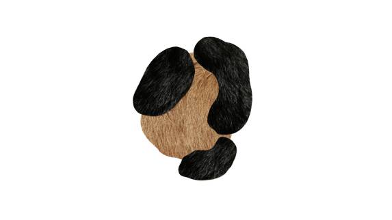 bearded leopard 1 moooi carpets on white