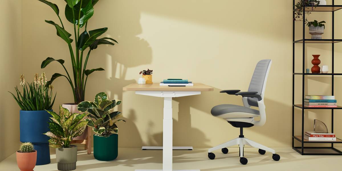 Solo Sit-to-Stand