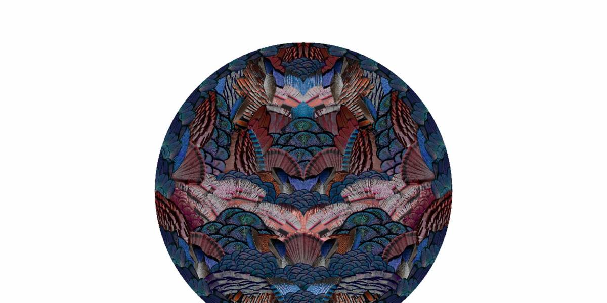 Calligraphy Bird Rug by Moooi | Steelcase