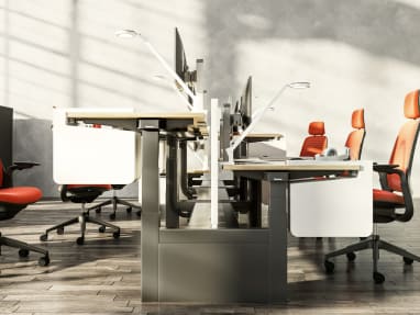 Ology Bench, Series 1