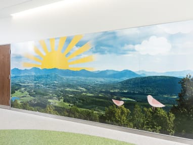 PolyVision a3 CeramicSteel walls with Surface Imaging at Shriners Hospital for Children, Lexington, KY