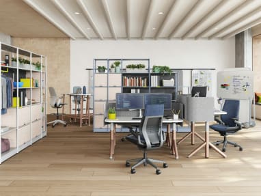 Steelcase Flex Active Frames