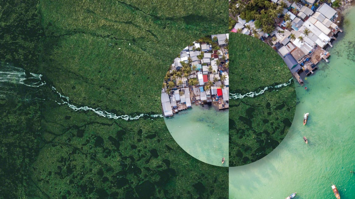 Photo showing the intersection of natural and human environments, capturing our interconnectedness and impact on the planet.