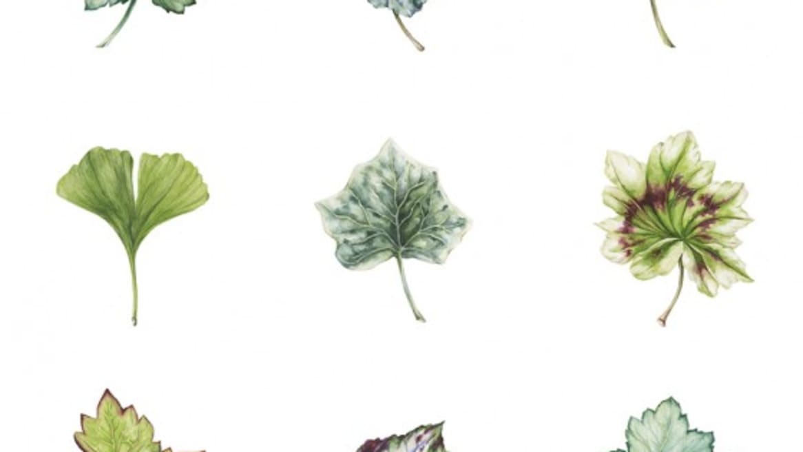 Leafery Wallcovering