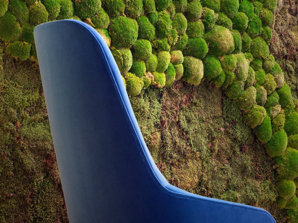 Blue chair and nature on the wall