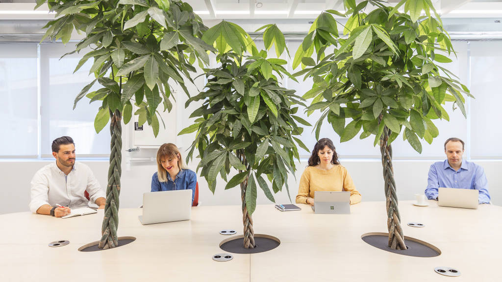 Biophilia in the workplace