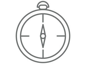 ARC compass icon