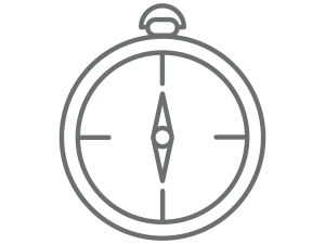 ARC compass icon