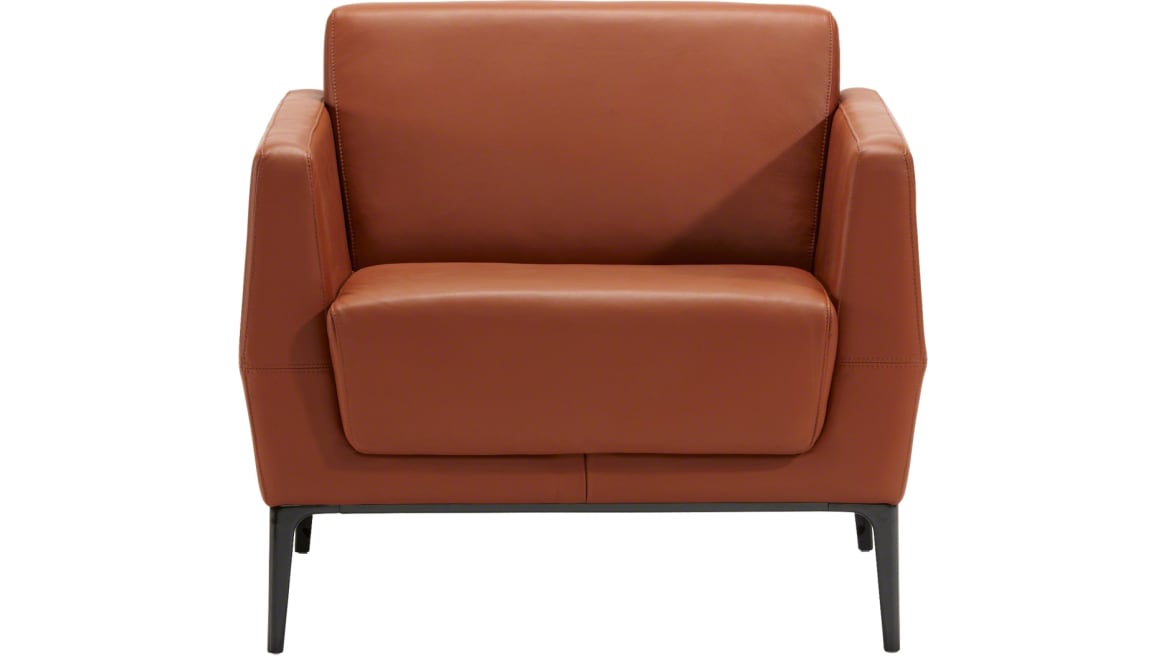 Visalia Lounge Chair with Single Fabric